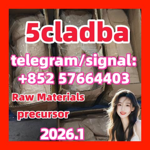 Daiktas 5cladba adbb 5fadb jwh-018 precursor Cannabinoids 好看