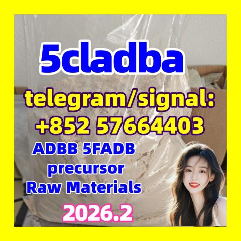 Daiktas 5cladba raw material  precursor raw 5cladba 5f adb 4fadb By Hebei 