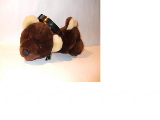 Daiktas Ausinės nuo šalčio