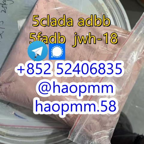 Daiktas free sample 5cladba 5cladba yellow powder  5fadb