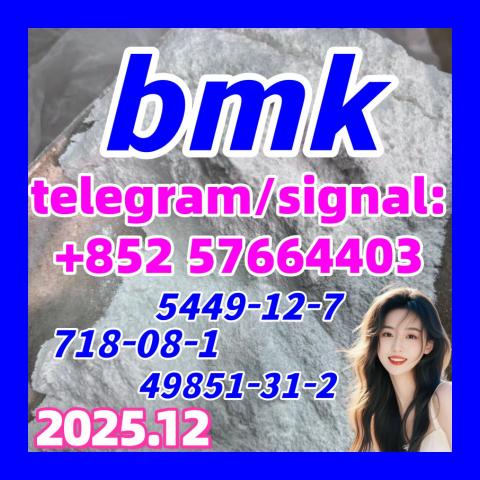 Daiktas BMK powder/oil cas 5449-12-7 with Germany stock