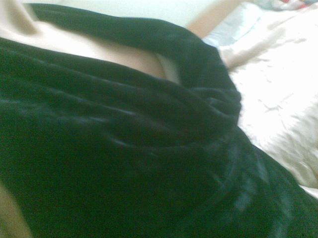 Daiktas palaidine puosni