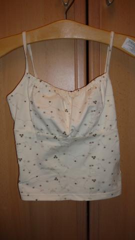 Daiktas Miela palaidine