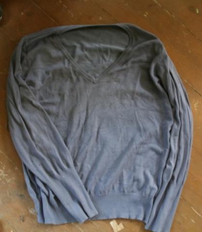 Daiktas zydra palaidine