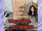 Daiktas 5cladba adbb jwh-018 5f-adb precursor  防护服体会让他
