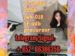 Daiktas 5cladba adbb jwh-018 5f-adb precursor  发过图突然
