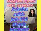 Daiktas 5cladba adbb jwh-018 5f-adb precursor  东莞分行人