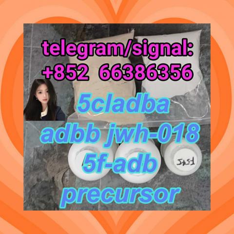Daiktas 5cladba adbb jwh-018 5f-adb precursor  法国法官大人个