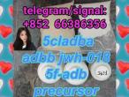 Daiktas 5cladba adbb jwh-018 5f-adb precursor  防寒服华润图不能