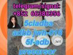 Daiktas 5cladba adbb jwh-018 5f-adb precursor  法国法官大人个