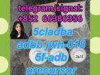 Daiktas 5cladba adbb jwh-018 5f-adb precursor  会给你一天不要