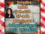 Daiktas 5cladba adbb jwh-018 5f-adb precursor  东莞电饭锅地方