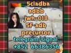 Daiktas 5cladba adbb jwh-018 5f-adb precursor  地方打得过