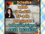 Daiktas 5cladba adbb jwh-018 5f-adb precursor  大哥萨达