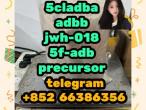 Daiktas 5cladba adbb jwh-018 5f-adb precursor  所发生的更多人工