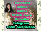 Daiktas  eutylone 3mmc mdma 2fdck apvp  东莞梵蒂冈特温特