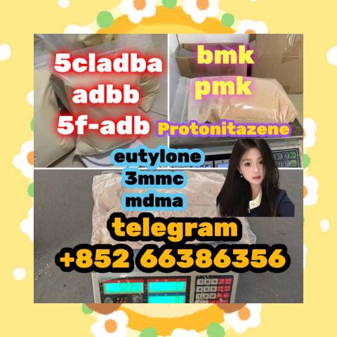 Daiktas bmk pmk oil powder  咋的发放