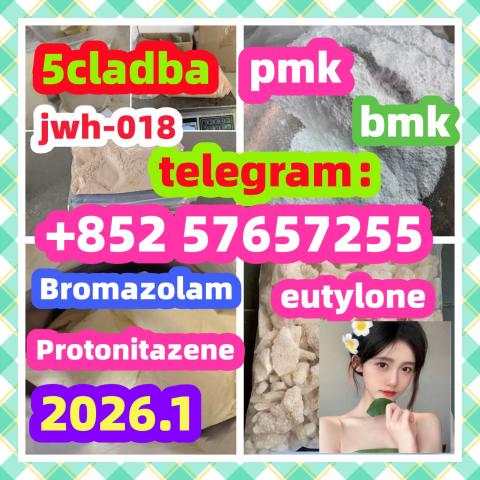 Daiktas  High quality 119276-01-6 Protonitazene