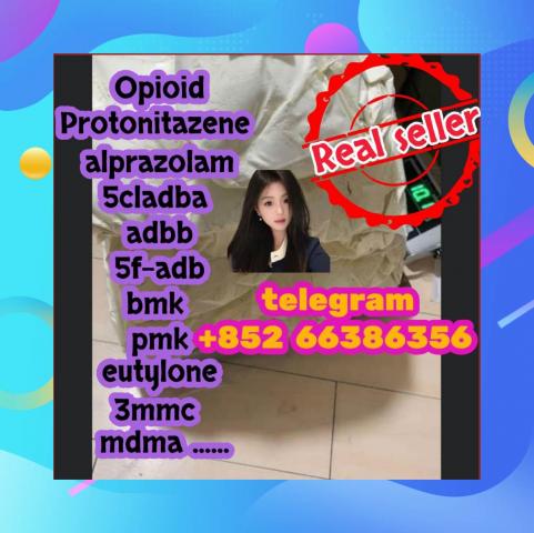 Daiktas  Protonitazene 119276-01-6 总胆汁酸发撒