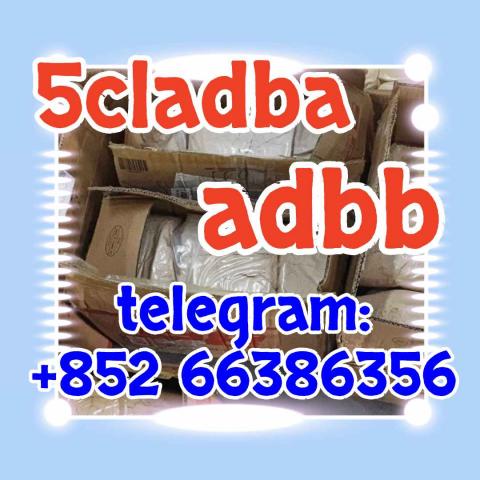 Daiktas 5cl adb 5cladba 5cl raw materials 是否染色体发