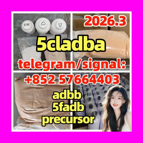 Daiktas high quality yellow powder 5cladba ADBB ship door to door