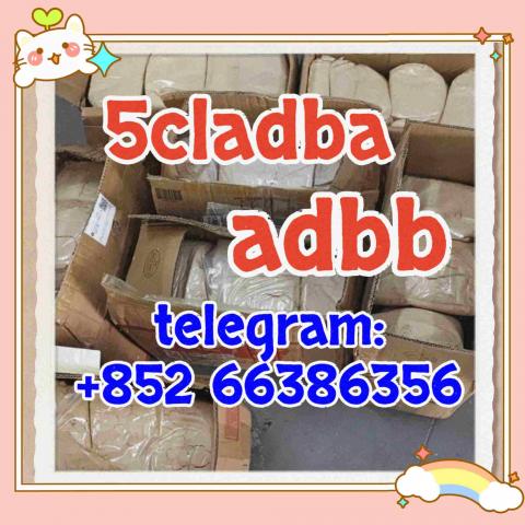 Daiktas 5cladba adbb jwh-018 5f-adb precursor  首府萨尔费