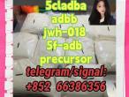 Daiktas 5cladba adbb jwh-018 5f-adb precursor  国际化防护服