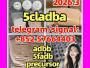 Daiktas 5cladba raw material precursor raw 5cladba 5f adb 4fadb 