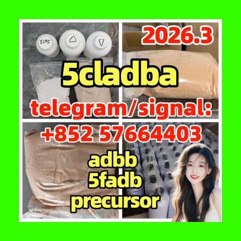 Daiktas 5cladba 5cl precursors 5cl-adb-a 5cladb-a 6cladba k2 powder spice raw materials DMF