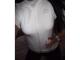 Baltas veliūrinis džemperiukas Alytus - parduoda, keičia (5)