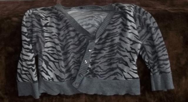 Daiktas trumputis megstinis