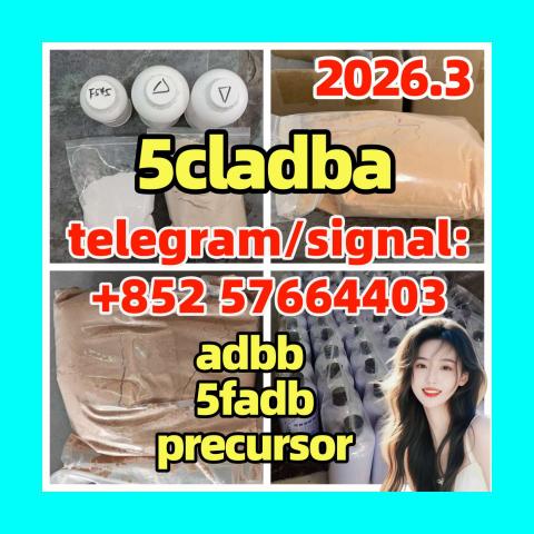 Daiktas 5cl 5cladba best cannabinoid 5cladba precursor raw 5cl-adb-a