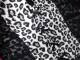 Leopardinis korsetas Alytus - parduoda, keičia (2)