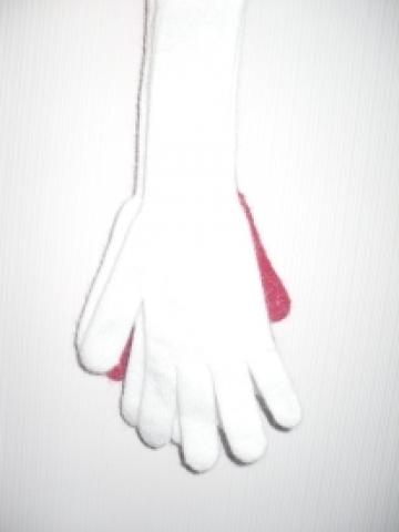 Daiktas Ilgos pirštinės