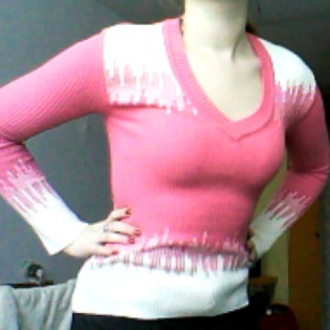 Daiktas silta palaidine