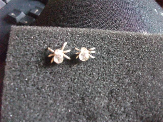 Daiktas paprasti auskariukai voriukai