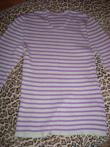 Daiktas siltesne palaidine