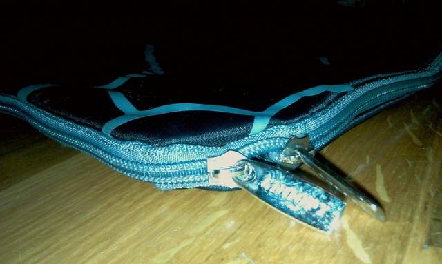 Daiktas Snoopy rankine