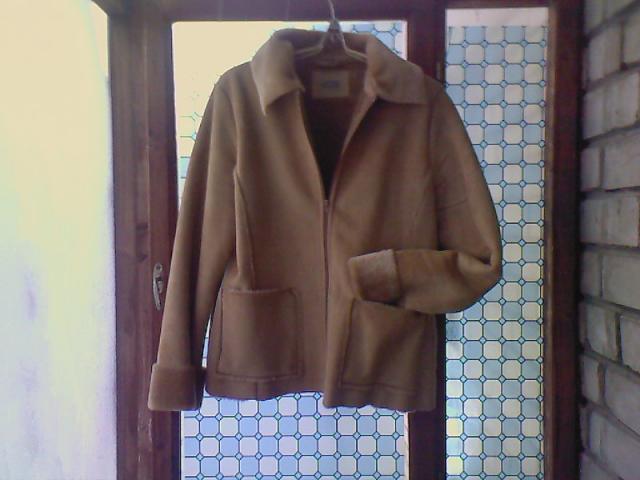 Daiktas ziemine striuke