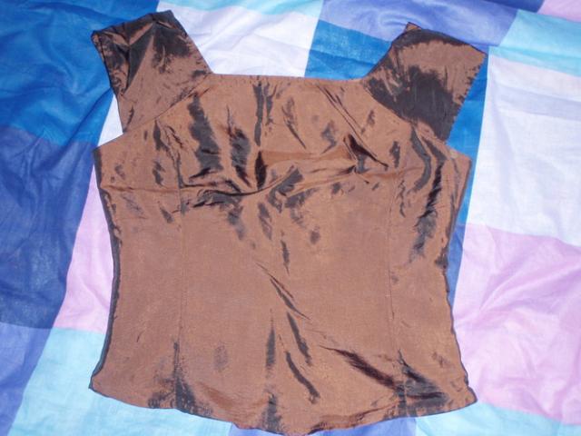 Daiktas puosni bliuskute