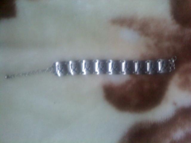 Daiktas apyranke su herogrifais