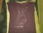 Daiktas puppy ruda maikutė stadivarijus