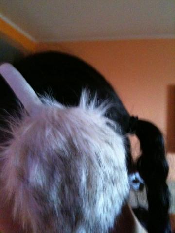 Daiktas kailines ausines