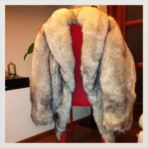 Daiktas Lapės (Piseco) tikri kailiniai