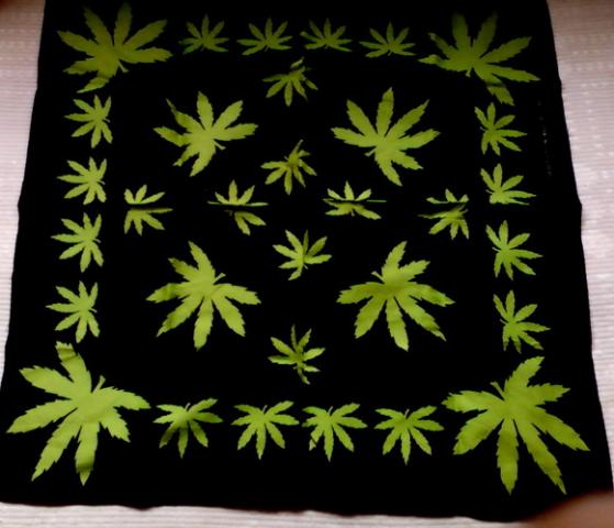 Daiktas Skarelė 1[rezervuota]