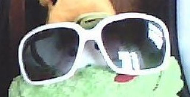 Daiktas akinaia baltais remeliais