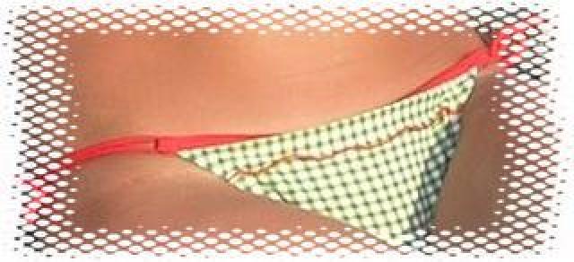 Daiktas Maudymosi kostiumėlis