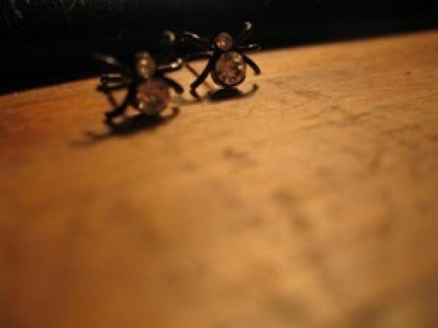 Daiktas auskariukai-voriukai