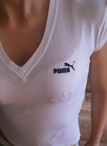 Daiktas Puma maikutė