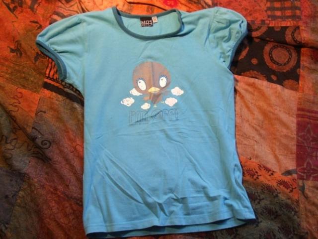 Daiktas rudens maikutė